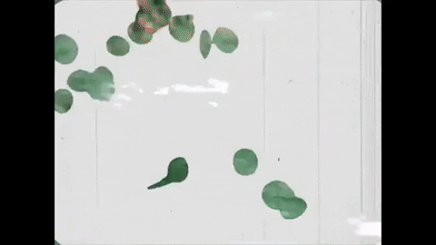 Youtube Film GIF