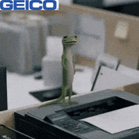 Wave Hello GIF by GEICO
