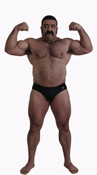 Gay Bear GIF by Database數據