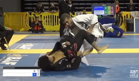 TFSMatt giphyupload GIF