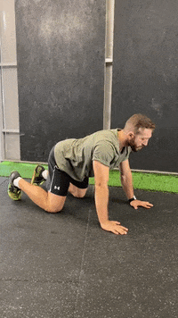 Catcamel GIF by Crossfit Boran