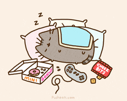 cat kitty GIF by Pusheen