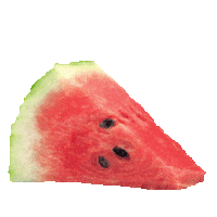 watermelon STICKER by imoji