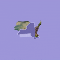 New York Trump GIF by Crooked Media