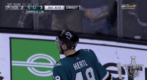 happy ice hockey GIF by NHL