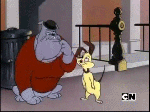 cadelee4e5c giphyupload looney tunes broncos fans stupid broncos fans GIF