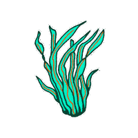 Seaweed Zeester Sticker by Maritiem Museum Rotterdam