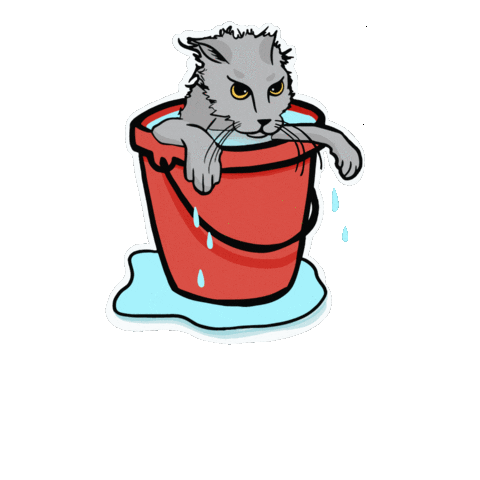 Angry Cat Sticker by Twisted Wares