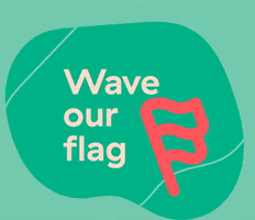 somosflegui somosflegui wave our flag GIF