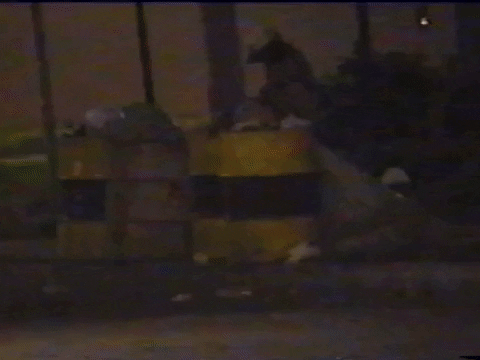 Vintage Vhs GIF by jorgemariozuleta