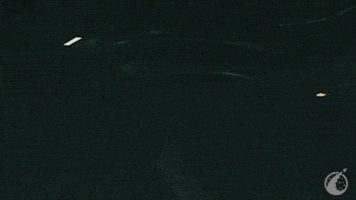 Star Citizen Target GIF