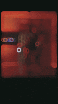 tashenajezewski giphyupload GIF