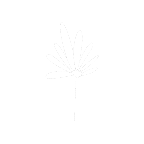 Illustration Flowers Sticker