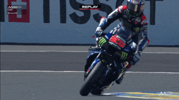 Happy Le Mans GIF by MotoGP™
