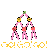 Go Go Yes Sticker by BuzzFeed