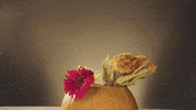 diy pumpkin GIF by evite