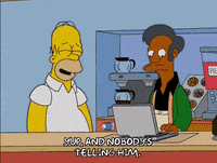 homer simpson episode 20 GIF