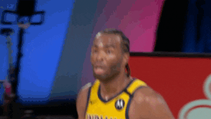 Nba Playoffs Fun GIF by NBA