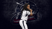 Florida Fastpitch GIF by USSSA Pride