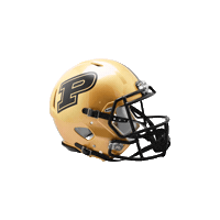 College Football Sticker by Riddell Sports