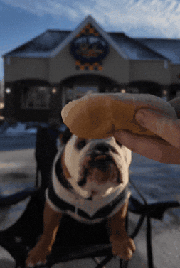 Happy Hot Dog GIF by Butler University
