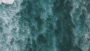 gus party summer music video ocean GIF
