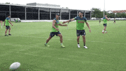 Rugby League Nrl GIF by Canberra Raiders