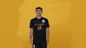Cal State La Soccer GIF by Cal State LA Golden Eagles
