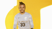 Cal State La Soccer GIF by Cal State LA Golden Eagles