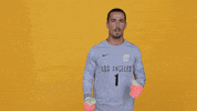 Cal State La Soccer GIF by Cal State LA Golden Eagles