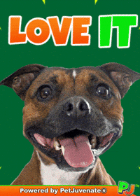 PetJuvenate petjuvenate henlo hooman fren love rescue dogs treatos and woofer for pupper GIF