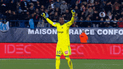 victory steve GIF by Olympique de Marseille