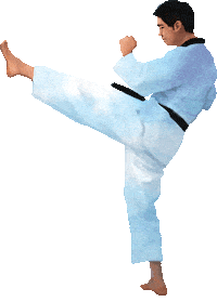 Martial Arts Sport Sticker by vank