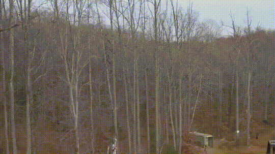 josh sheehan triple backflip GIF by Nitro Circus