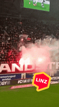 Soccer Bundesliga GIF by Linz News