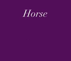 Horses GIF by Horse of the Year Show
