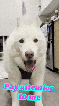 To Me Hello GIF