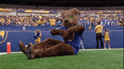 pittpanthers mascot mascots pitt roc GIF