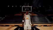 Ncaa Basketball GIF by Mizzou Athletics
