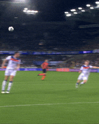 Football Soccer GIF by Club Brugge