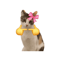 Cat Sticker Sticker