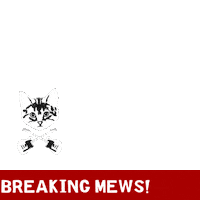 Breaking Music Store Sticker by B's Music Shop