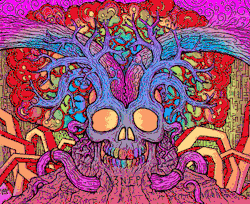 lsd GIF