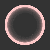 GIF by Borrachas