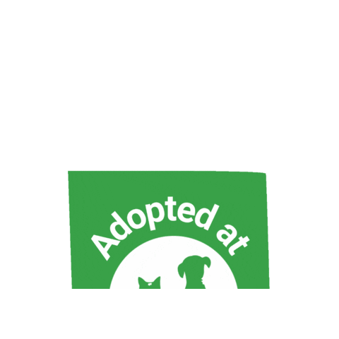 Adoptdontshop Sticker by Berkeley Humane