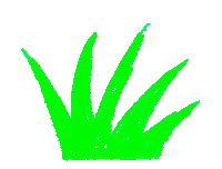 Summer Idf Sticker by RegionIDF