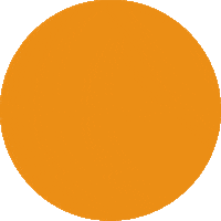 Israel Defense Forces Army Sticker by IDF