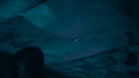 Fomdj GIF by Playboi Carti