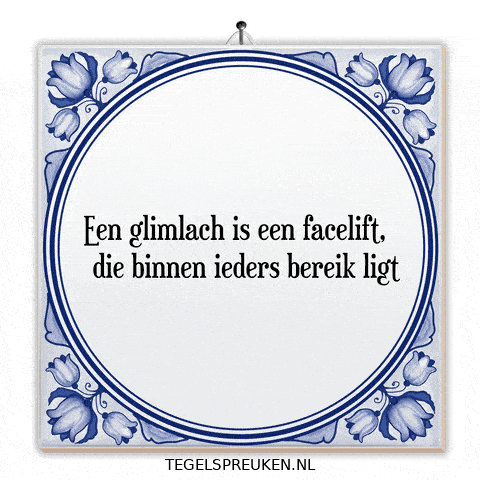 Humor Nl GIF by Tegelspreuken.nl
