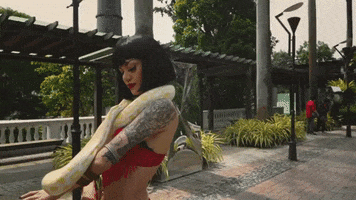 Snake Belly Dance GIF by Our Grandfather Story